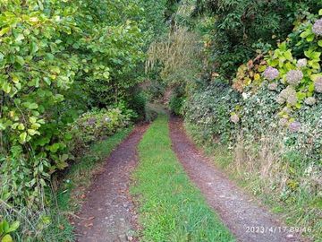 Parcela en Venta en lago ranco/ sector Ignao