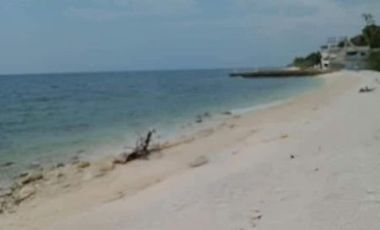 TITLED BEACH PROPERTY For Sale in Oslob, Cebu!