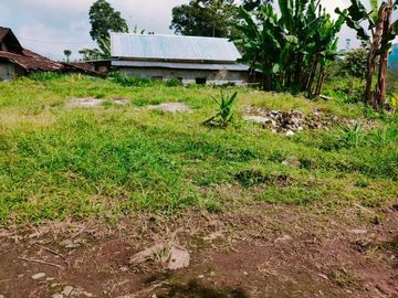 Tanah Tengah Kebun Teh Kemuning Karanganyar