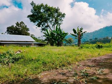 Tanah Tengah Kebun Teh Kemuning Karanganyar