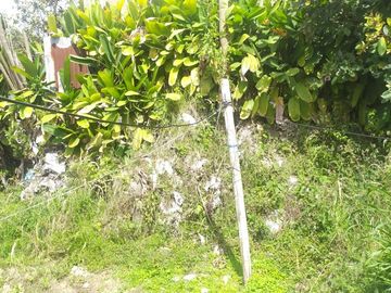 CASA EN VENTA EN VILLAMARIA