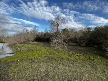 Vendo Campo de 23,5 hectáreas en Gualeguaychú, Entre Ríos.