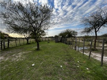 Vendo Campo de 23,5 hectáreas en Gualeguaychú, Entre Ríos.