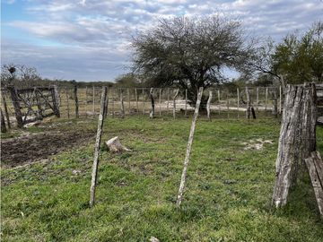 Vendo Campo de 23,5 hectáreas en Gualeguaychú, Entre Ríos.