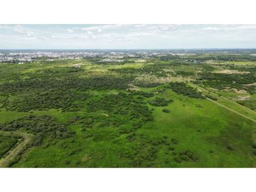 Vendo Campo de 23,5 hectáreas en Gualeguaychú, Entre Ríos.