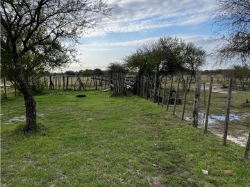 Vendo Campo de 23,5 hectáreas en Gualeguaychú, Entre Ríos.