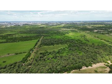 Vendo Campo de 23,5 hectáreas en Gualeguaychú, Entre Ríos.