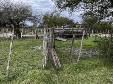 Vendo Campo de 23,5 hectáreas en Gualeguaychú, Entre Ríos.