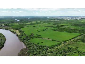 Vendo Campo de 23,5 hectáreas en Gualeguaychú, Entre Ríos.