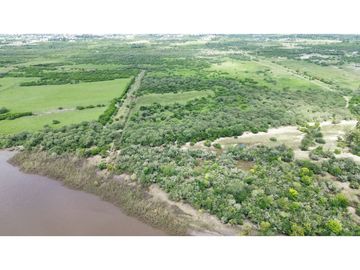 Vendo Campo de 23,5 hectáreas en Gualeguaychú, Entre Ríos.