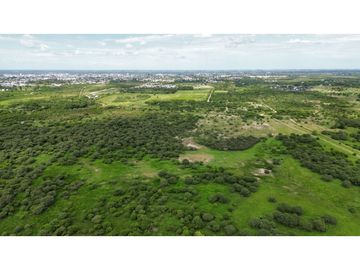 Vendo Campo de 23,5 hectáreas en Gualeguaychú, Entre Ríos.