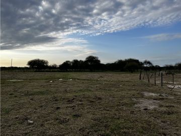 Vendo Campo de 23,5 hectáreas en Gualeguaychú, Entre Ríos.