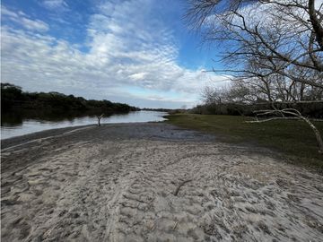 Vendo Campo de 23,5 hectáreas en Gualeguaychú, Entre Ríos.