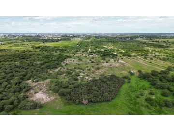Vendo Campo de 23,5 hectáreas en Gualeguaychú, Entre Ríos.