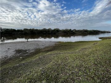 Vendo Campo de 23,5 hectáreas en Gualeguaychú, Entre Ríos.