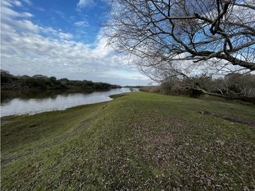 Vendo Campo de 23,5 hectáreas en Gualeguaychú, Entre Ríos.