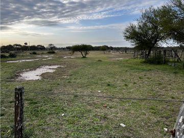 Vendo Campo de 23,5 hectáreas en Gualeguaychú, Entre Ríos.