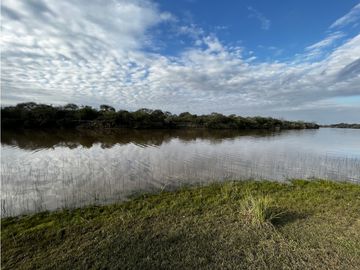 Vendo Campo de 23,5 hectáreas en Gualeguaychú, Entre Ríos.