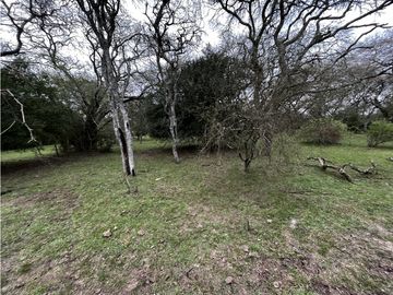 Vendo Campo de 23,5 hectáreas en Gualeguaychú, Entre Ríos.