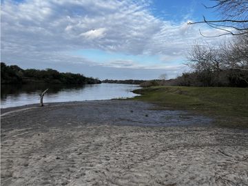Vendo Campo de 23,5 hectáreas en Gualeguaychú, Entre Ríos.