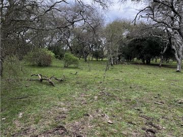 Vendo Campo de 23,5 hectáreas en Gualeguaychú, Entre Ríos.