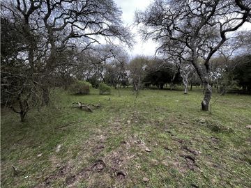 Vendo Campo de 23,5 hectáreas en Gualeguaychú, Entre Ríos.