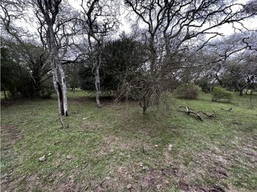 Vendo Campo de 23,5 hectáreas en Gualeguaychú, Entre Ríos.