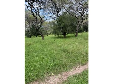 Vendo Campo de 23,5 hectáreas en Gualeguaychú, Entre Ríos.