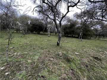 Vendo Campo de 23,5 hectáreas en Gualeguaychú, Entre Ríos.