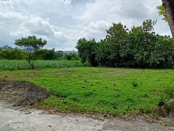 Tanah Murah 150 m Jl Pleret Kawasan maju Jogja selatan