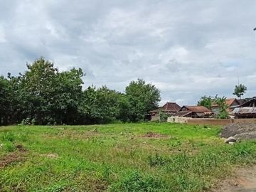 Tanah Murah 150 m Jl Pleret Kawasan maju Jogja selatan