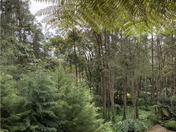 Venta Finca Parcelacion El Retiro