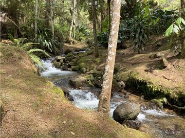 Venta Finca Parcelacion El Retiro