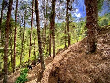 Venta Finca Parcelacion El Retiro