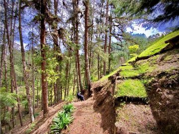 Venta Finca Parcelacion El Retiro