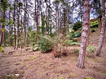 Venta Finca Parcelacion El Retiro
