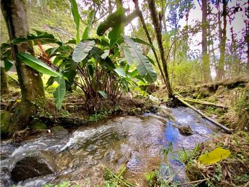 Venta Finca Parcelacion El Retiro
