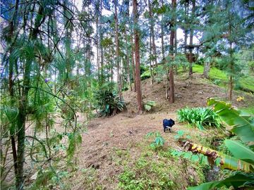 Venta Finca Parcelacion El Retiro
