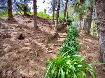 Venta Finca Parcelacion El Retiro