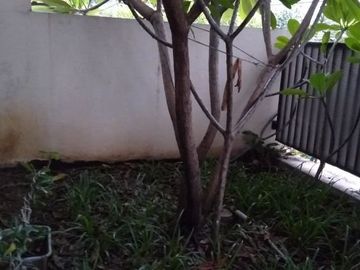 Rumah Bebas Banjir Dalam Komplek Cijambe Bandung | IWANSETIAWAN