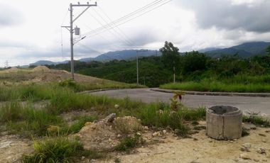 314 Sqm Overlooking Lot for Sale in Vista Verde Subdivision Consolacion Cebu