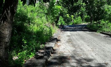 123 Sqm Residential Lot for Sale in Upper Casili, Consolacion Cebu