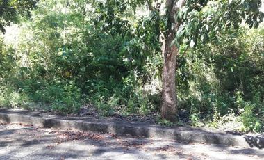 123 Sqm Residential Lot for Sale in Upper Casili, Consolacion Cebu