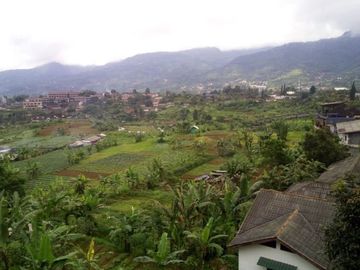 Dijual Villa Mewah Best View || Villa Puncak Bogor || Rp 15 Milyar