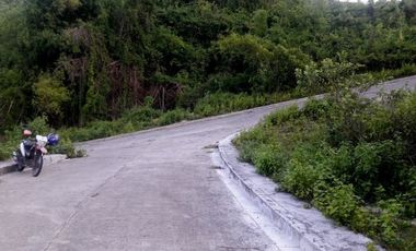 Affordable 223 SQM Corner Lot for Sale in Vista Verde Consolacion Cebu