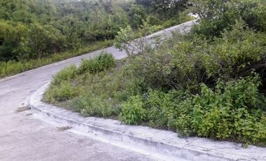 Affordable 223 SQM Corner Lot for Sale in Vista Verde Consolacion Cebu