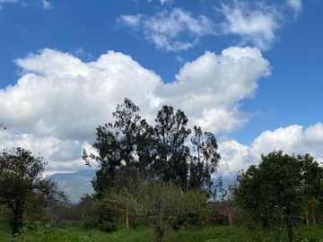 Venta Casa en Parcela en Olmué