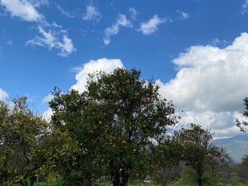 Venta Casa en Parcela en Olmué