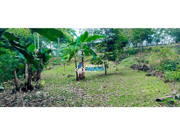 En venta hermosa finca con casa incluida, para proyecto turístico/agro