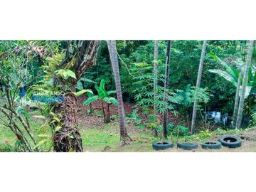 En venta hermosa finca con casa incluida, para proyecto turístico/agro